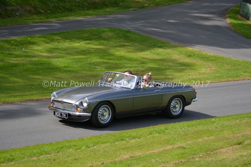 Car photo 12x8 - car,