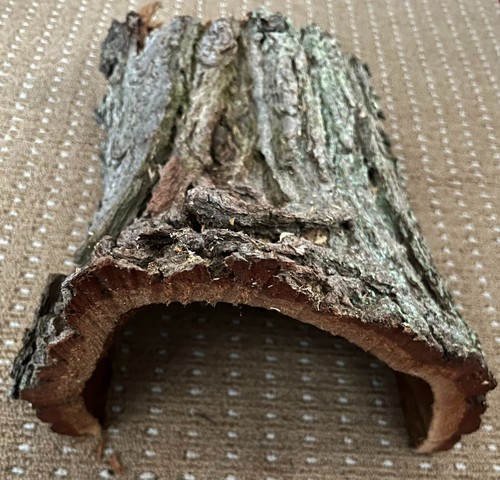 English oak bark hide tunnel - bark,