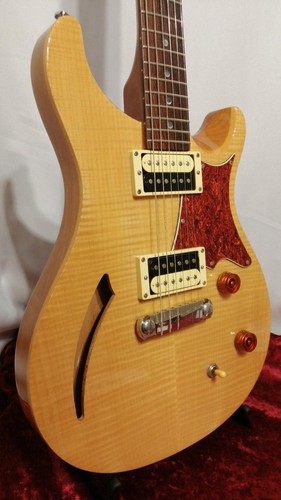 Prs custom semi hollow - se,