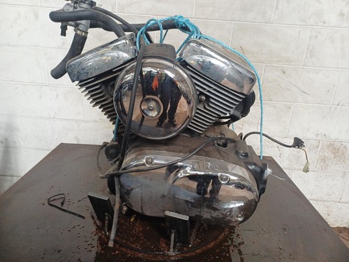 Kawasaki vn1600 engine - engine, vulcan