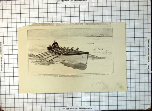 Old seamen rowing boat shark - old,