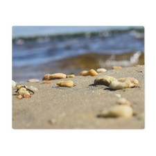 Beach-Inspired Placemat