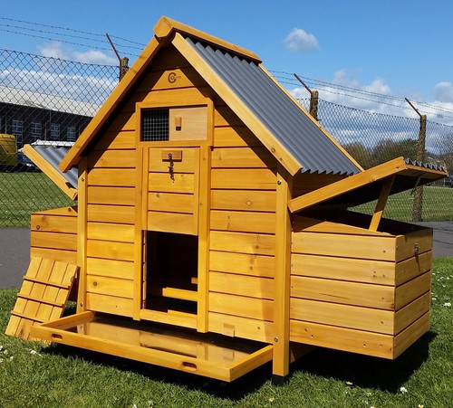 Chicken coop run hen - chicken,