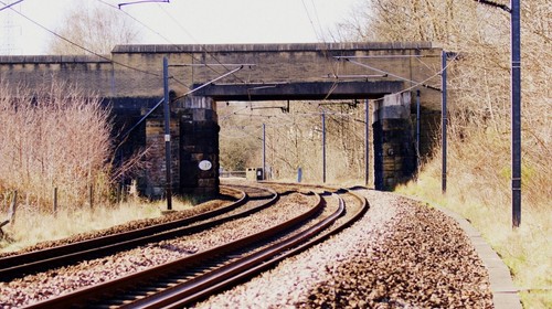 Photo 6x4 pollard - pollard, bridge
