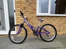 Trek MT220 Mountain Bike 24”