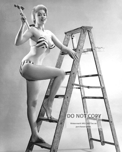 Jayne mansfield actress and - jayne,