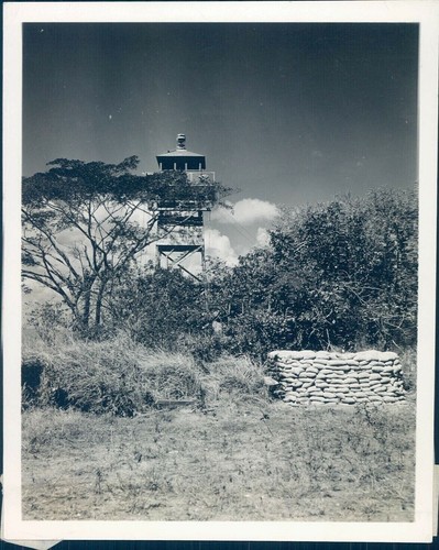 1948 carribbean foliage - 1948, us
