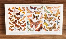 Vintage British and World