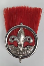 Boy Scout Assistant