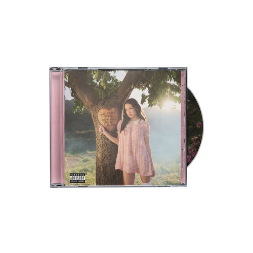 Olivia rodrigo you - rodrigo, seem