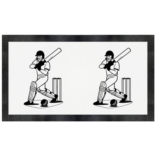 Cricket batter action pet - batter,