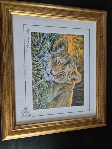 Stephen gayford wild about art - wild,
