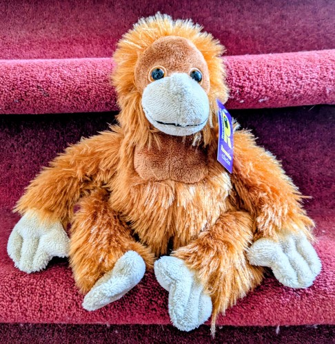 Iceland orangutan rang tan - iceland, rang-tan
