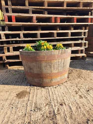 Half barrel oak whisky - -,