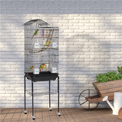 Roof top parrot cage bird - parrot,