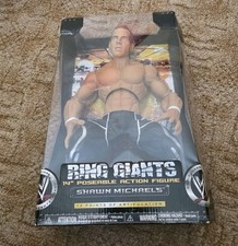 2006 JAKKS WWE RING GIANTS