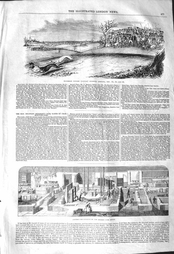 Old antique print 1842 - antique,