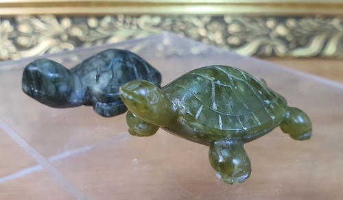 Green jade turtle tortoise - green,