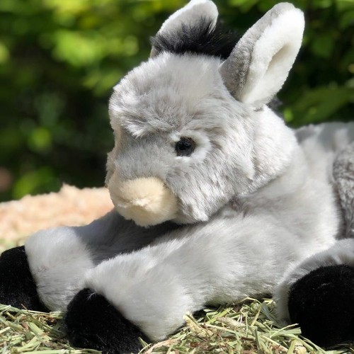 Ceci plush donkey - ceci,