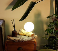 Handmade, Natural Driftwood