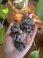 Lovely Set of 5 Rare & Unique