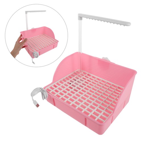 Parrot bathtub bird - bird, shower