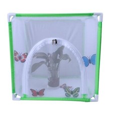 Insect butterfly habitat - butterfly, cage