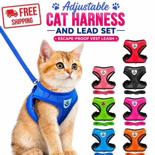 Adjustable cat harness - harness, and