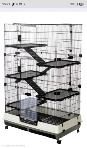Rat ferret chinchilla - chinchilla, cage