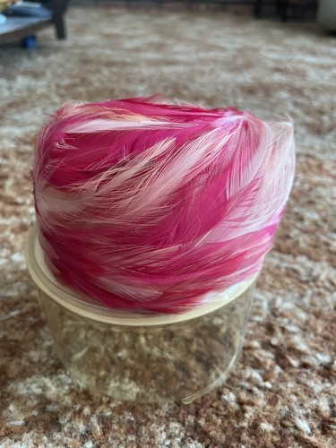 Vintage pink feather - pink,