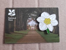 National Trust CLUMBER PARK Daffodil Charity Pin Badge 