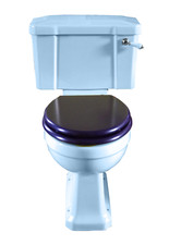 TRTC Art Deco Blue Close Coupled Toilet Traditional New