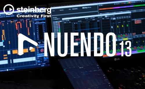 Steinberg nuendo daw - 13,