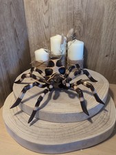  Tarantula spider model made