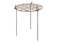 Plant Support 76cm Grow