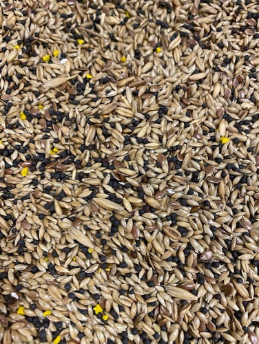 Canary food mixed seed - mixed,
