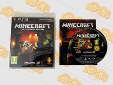 Minecraft Video Game -