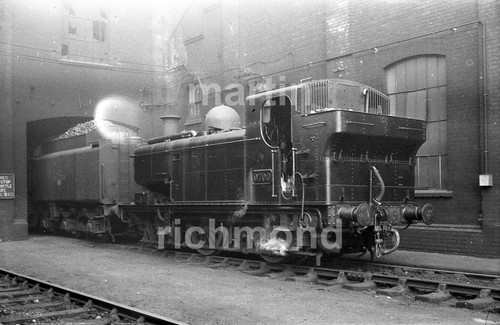 Old oak common - old,