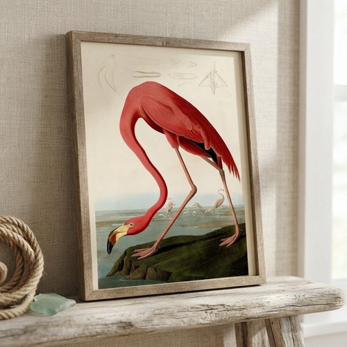 John james audubon - john,