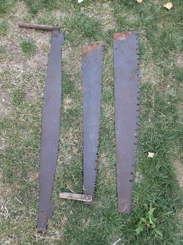 Very old logging - 3,