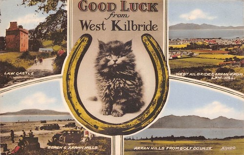 Family history postcard - history,