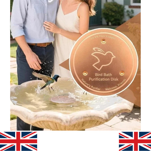Bird bath copper disk - bath,