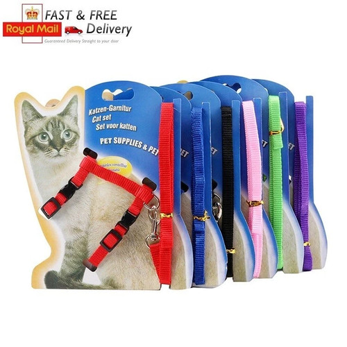 Cats ferrets pets adjustable - pets,