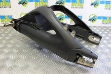 Triumph Tiger 1050 Swingarm