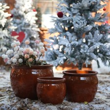 Rust Red Ceramic Plant Pots