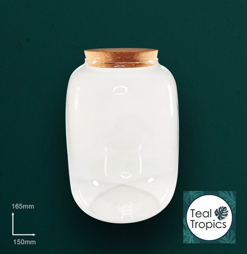Clear terrarium glass - clear,