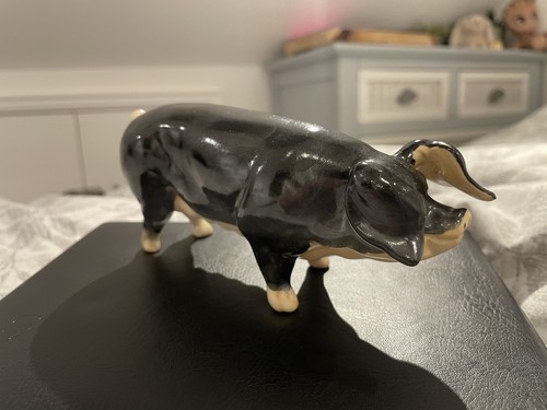 Collectable acorn ceramic - collectable, pig