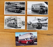 10 bus photographs (5.5" x