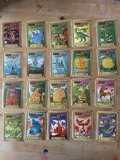 YoYo Bear 'Bearilliant Beasts'