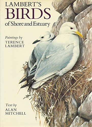 Birds shore and estuary - birds,